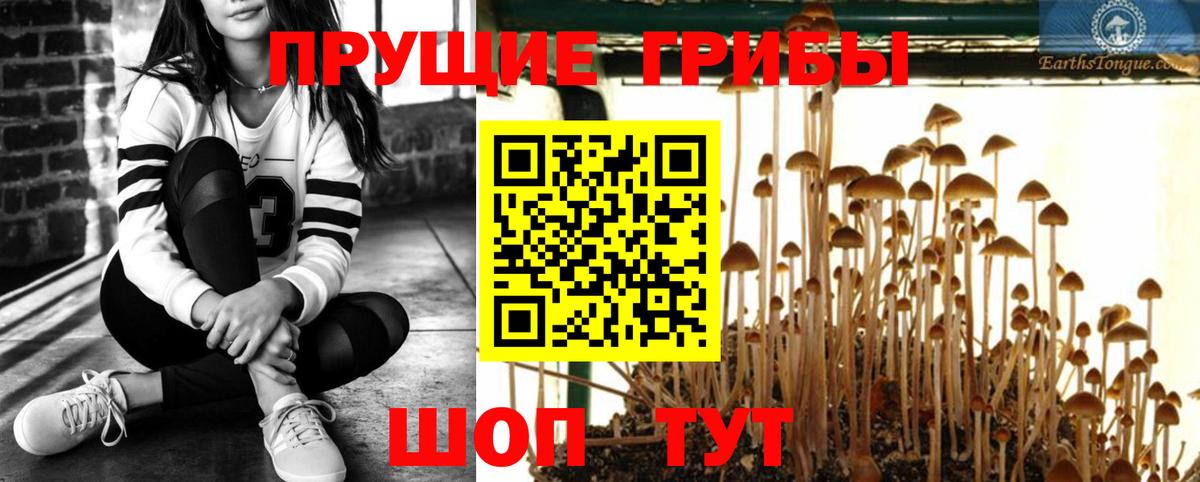 Валуйки  Псилоцибиновые грибы Magic Shrooms  Вход с VPN  Галлюциногенные грибы мицелий 